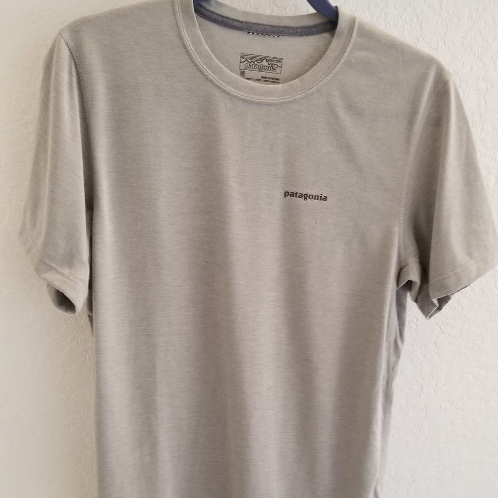 Light Grey Patagonia T-Shirt